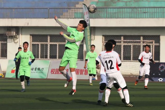 这些回复亮了